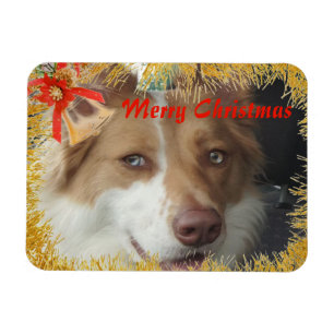 Imán Foto de Merry Christmas Mascota Photo