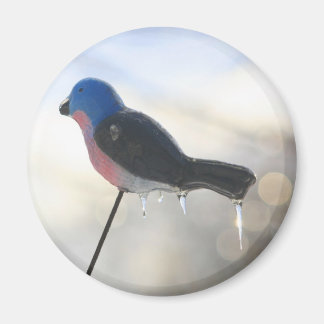 Imán Foto de naturaleza después de la tormenta de invie