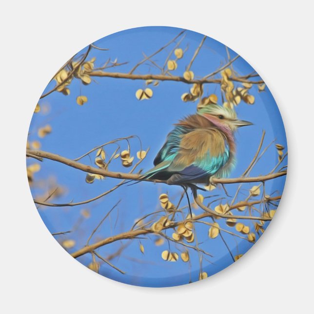 Imán Foto de pájaro en árbol (Frente)