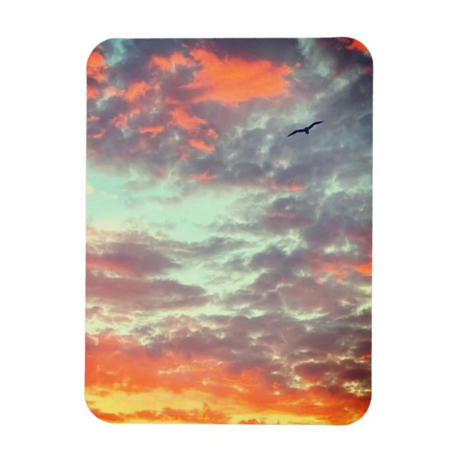 Imán Foto de pájaro volando nubes rosadas cielo (Vertical)
