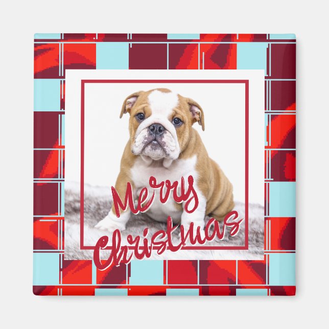 Imán Foto de perro de Bulldog de seda roja Feliz Navida (Frente)