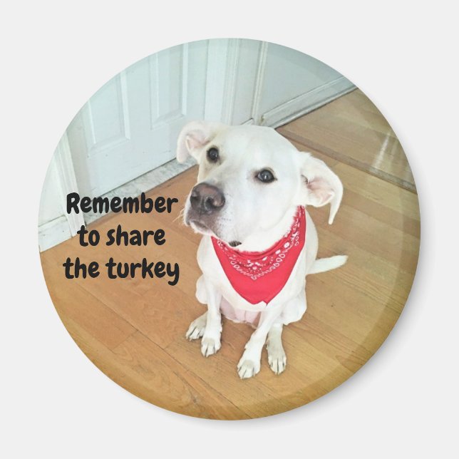 Imán Foto de Perro de Cute Pup con orejas divertidas pe (Frente)