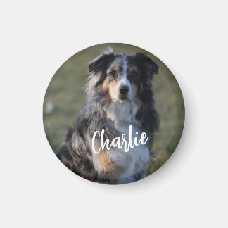 Imán Foto de perro Mascota Personalizado personalizada