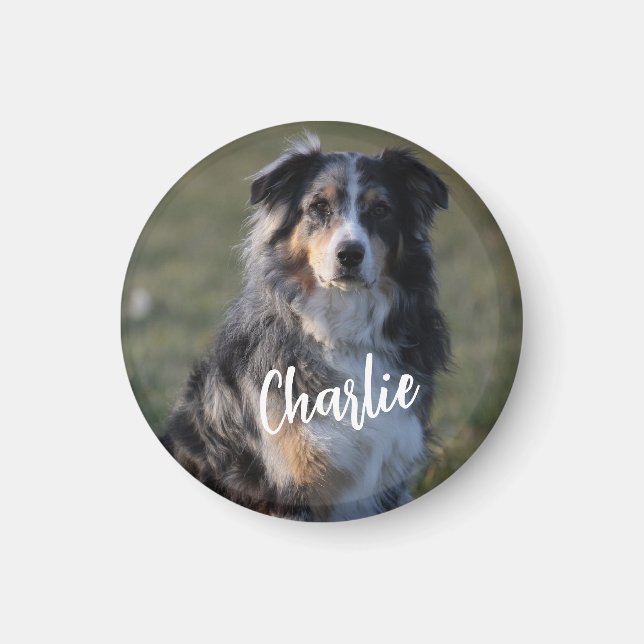 Imán Foto de perro Mascota Personalizado personalizada (Frente)