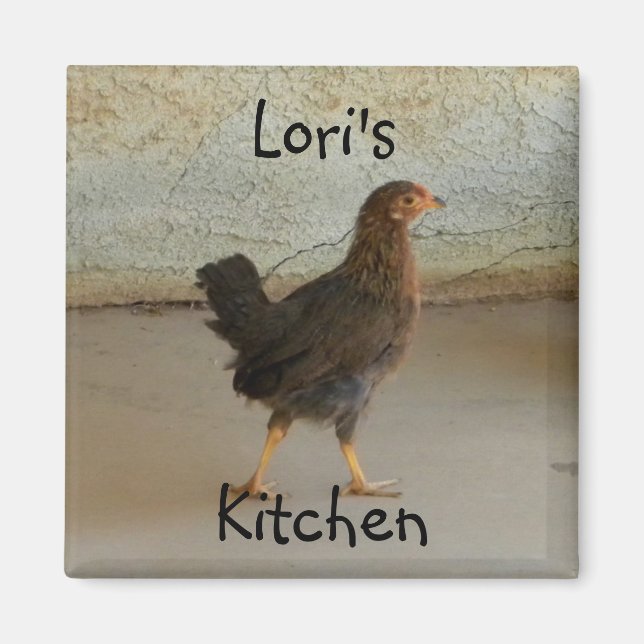 Imán Foto de pollo malhumorado (Frente)