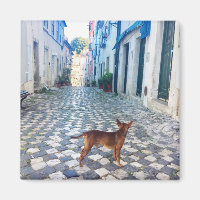 Foto de Portugal vista callejera por la policía de