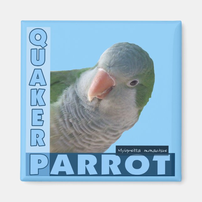 Imán Foto de Quaker Parakeet (Frente)