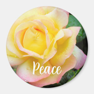 Imán Foto de Rosa de la Paz