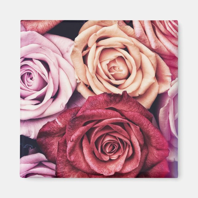 Imán Foto de Rosas Rosa Bouquet (Frente)