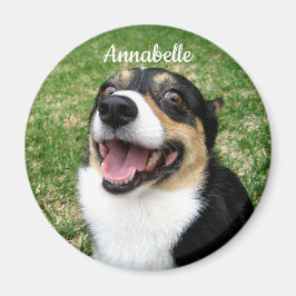 Imán Foto de su Mascota Personalizado Añada su perro aq