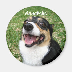 Imán Foto de su Mascota Personalizado Añada su perro aq