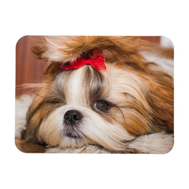 Imán Foto de su personalizado de cachorros de perro mas (Horizontal)