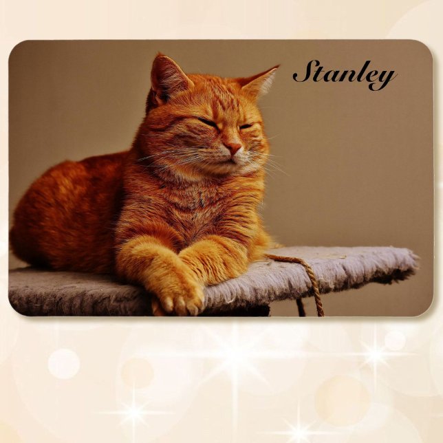 Imán Foto de su plantilla de Mascota Añadir nombre 4 x  (Subido por el creador)