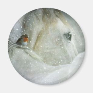 Imán Foto de un caballo blanco y un pájaro en invierno