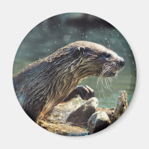 Imán Foto de vida silvestre de River Otter
