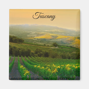 Imán Foto de viñedos italianos de Toscana Italia