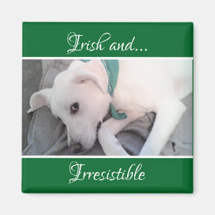 Imán Foto del Día de San Patricio