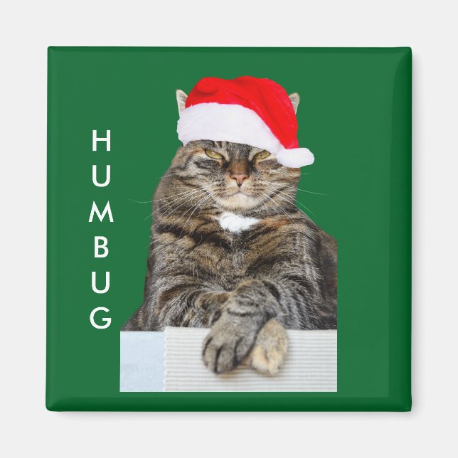 Imán Foto del embaucamiento del gato del navidad con el (Frente)