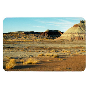 Imán Foto del paisaje de Arizona del desierto del