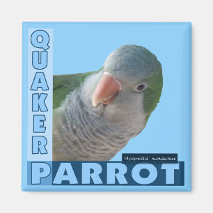 Imán Foto del Parakeet del Quaker