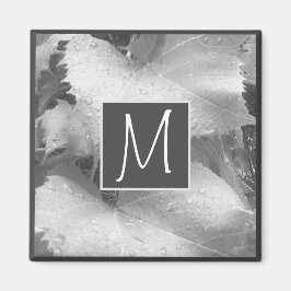 Imán Foto en blanco y negro de hojas de uva gris inicia