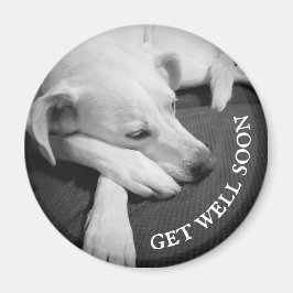 Imán Foto en blanco y negro de un hermoso perro durmien