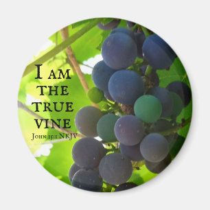 Imán Foto: Evangelio de uvas moradas de John Bible Vers