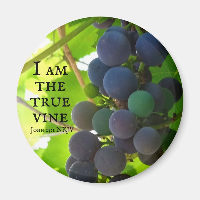 Imán Foto: Evangelio de uvas moradas de John Bible Vers (Frente)