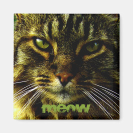 Imán Foto hipnotizada de ojos de gato