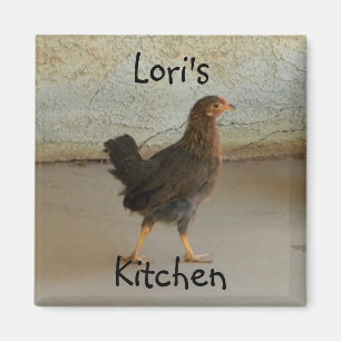 Imán Foto linda del pollo que vaga