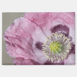 Imán foto macro flor de pasión púrpura -