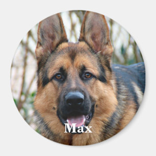 Imán Foto mascota - Perro - Gato - Mascota Memorial
