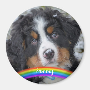 Imán Foto Mascota - Perro - Gato - Mascota Memorial