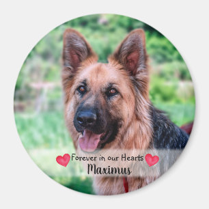 Imán Foto mascota - Perro - Gato - Mascota Memorial