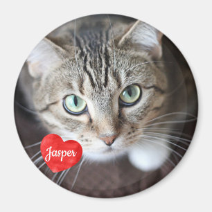Imán Foto mascota - Perro - Gato - Mascota Memorial