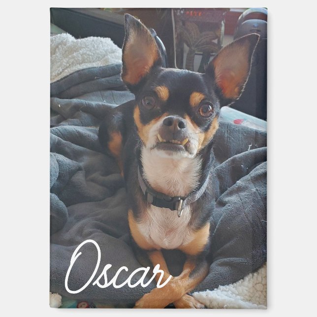 Imán Foto Mascota personalizada (Anverso)