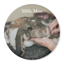 Foto Mascota personalizada