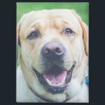 Imán Foto o arte personalizado<br><div class="desc">Imán personalizado de Ricaso - agrega tu propia fotografía o arte personalizada,  agrega texto usando la herramienta de diseño,  grandes ideas de regalo de fotos y keepsakes personales</div>