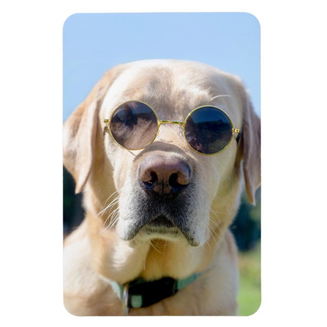 Imán Foto personalizada (Vertical)