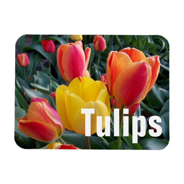 Imán Foto personalizada (Horizontal)