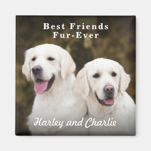 Imán Foto personalizada de dos mascotas, mejores amigos