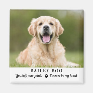 Imán Foto personalizada de Mascota Personalizado de reg