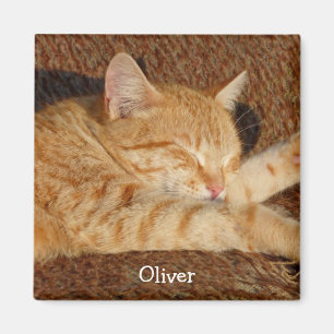 Imán Foto personalizada del mascota