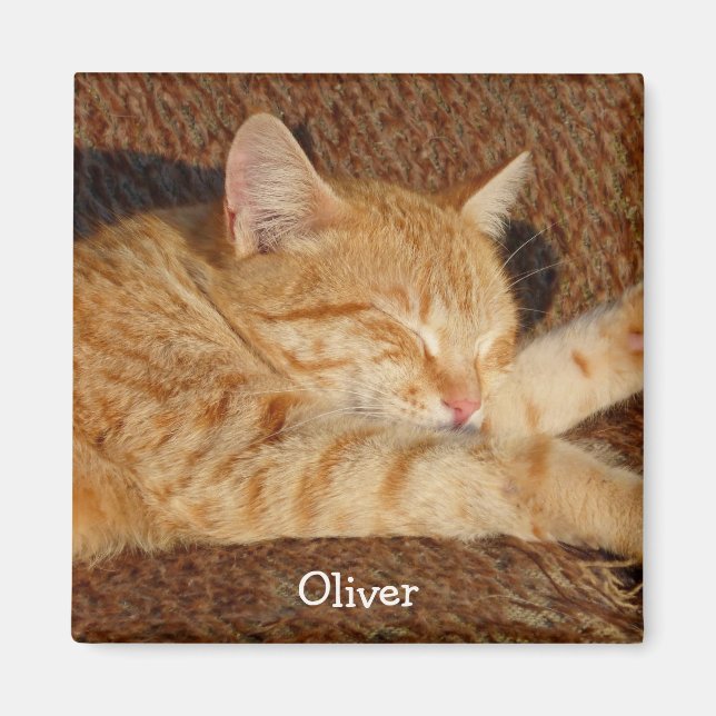 Imán Foto personalizada del mascota (Frente)