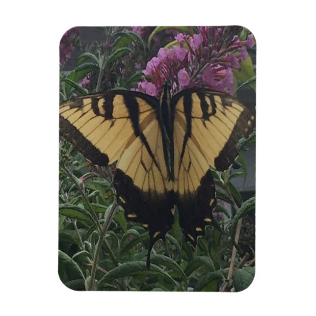 Imán Foto personalizada Mariposa amarilla y negra (Vertical)