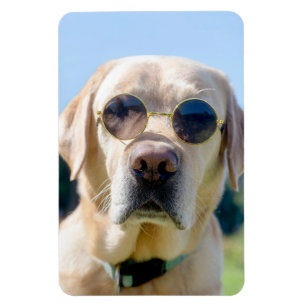 Imán Foto personalizado