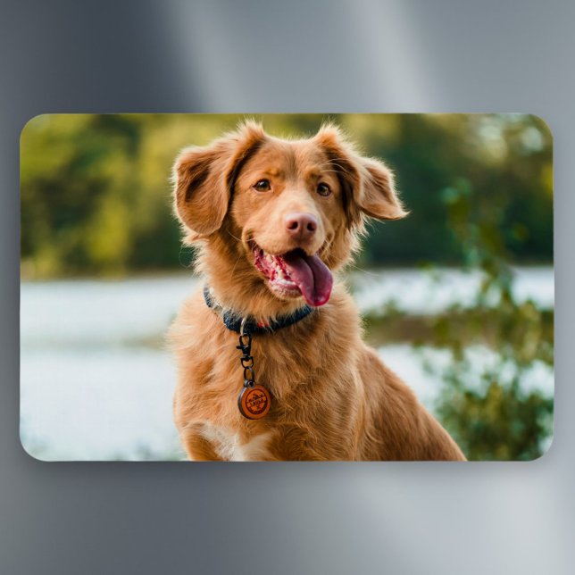 Imán Foto personalizado imagen personalizada (Subido por el creador)
