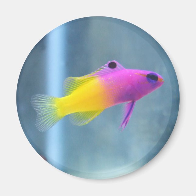 Imán Foto real de Gramma (Frente)