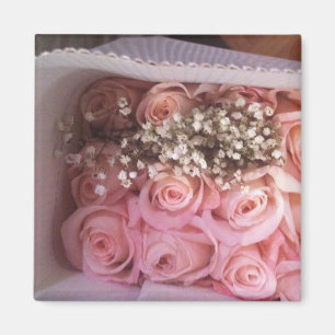 Imán Foto rosada de los rosas