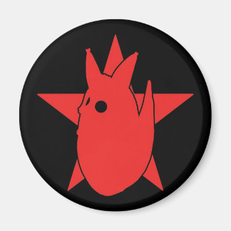 IMÁN FOTOCOYOTE MAGNET